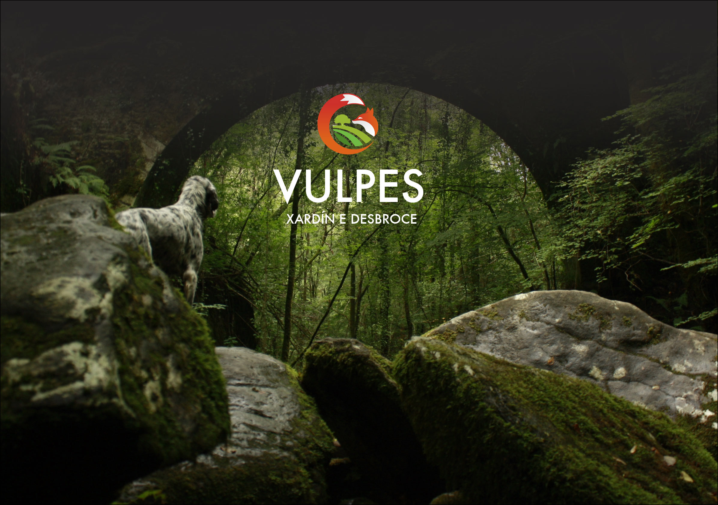 vulpes jardin